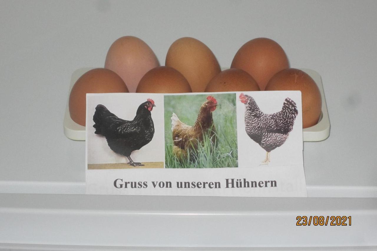 Ferienwohnung Landsknecht Volkach Dış mekan fotoğraf